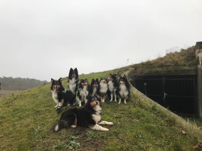 15578283_10211425945029987_7157088447806712720_o